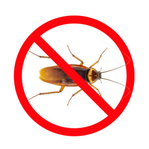 Pest Control San An tonic - Roaches